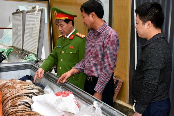 Thanh Hóa triệt phá đường dây mua bán, nấu cao hổ